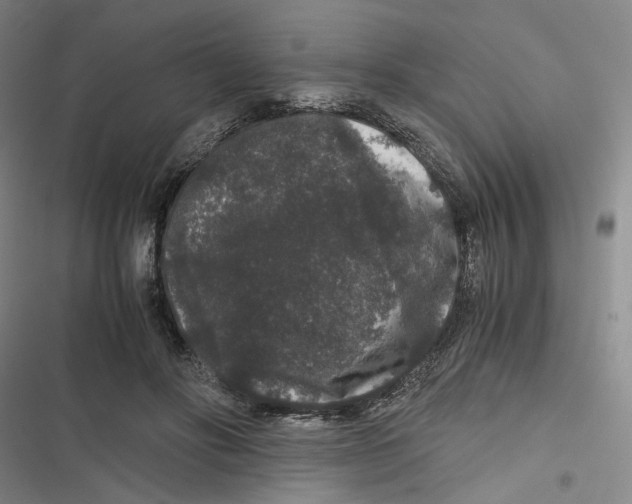 X0000116780502201001141514