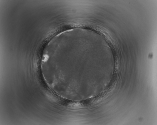 X0000116780503201001141514