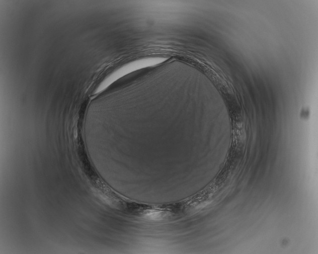 X0000116780504201001141514