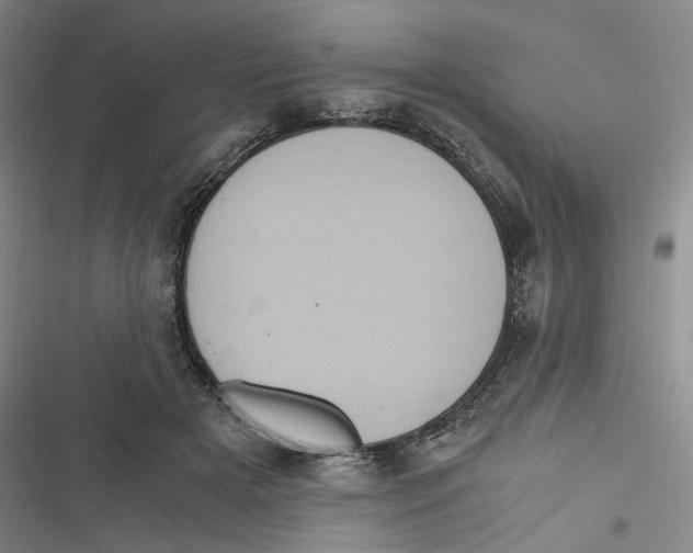 X0000116780505201001141514