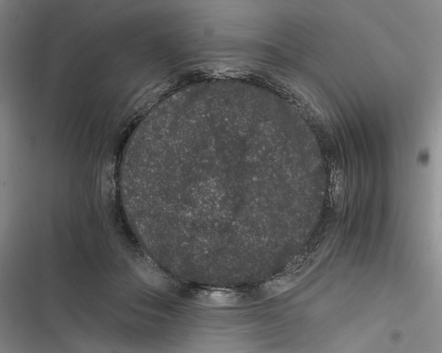 X0000116780506201001141514