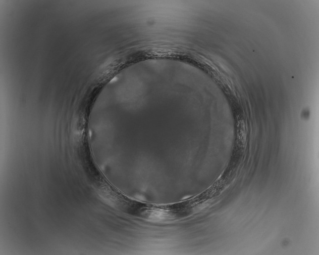 X0000116780507201001141514