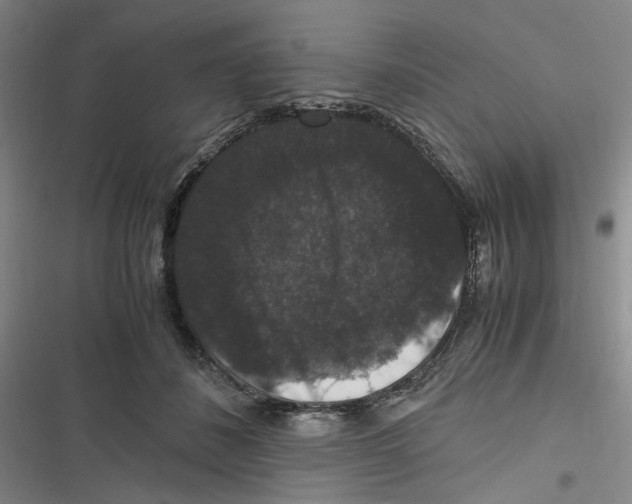 X0000116780508201001141514