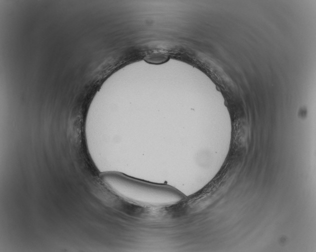 X0000116780509201001141514