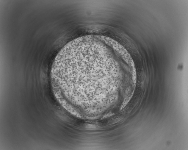 X0000116780510201001141514