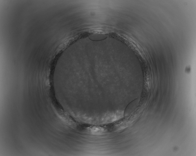 X0000116780512201001141514