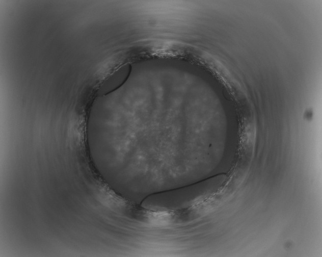 X0000116780513201001141514