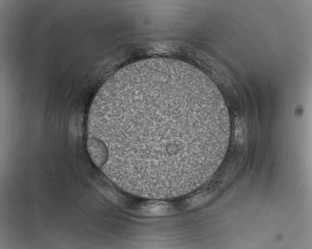 X0000116780514201001141514