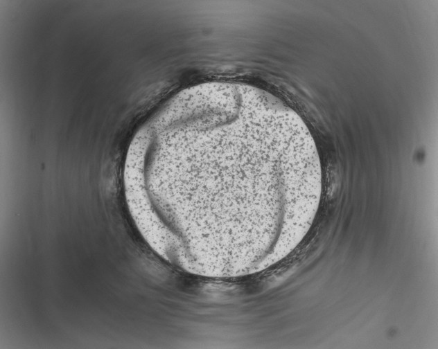 X0000116780515201001141514