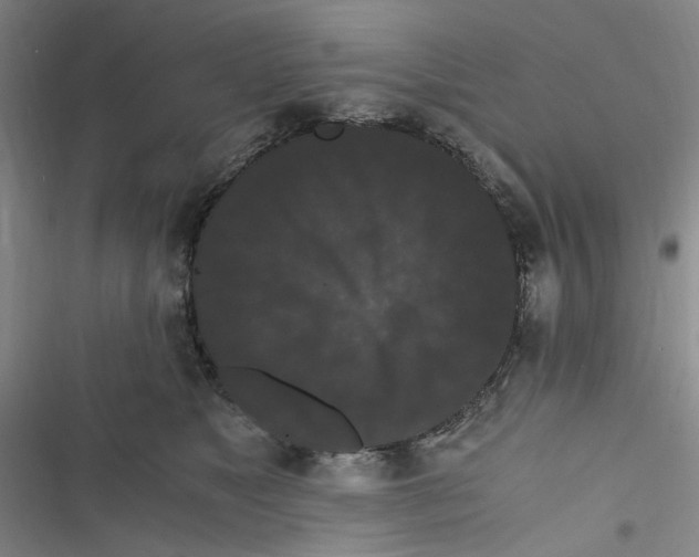 X0000116780517201001141514