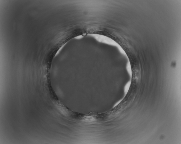 X0000116780519201001141514