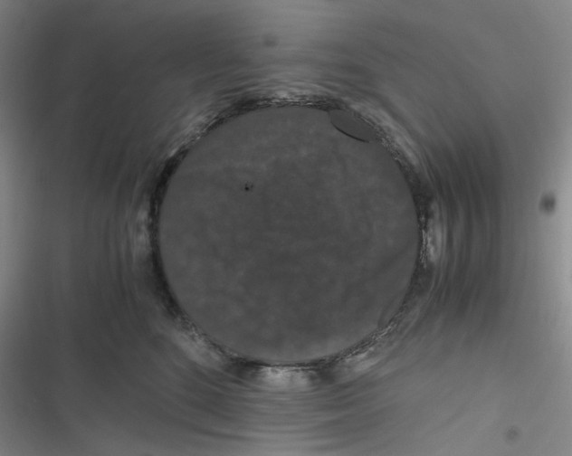 X0000116780520201001141514