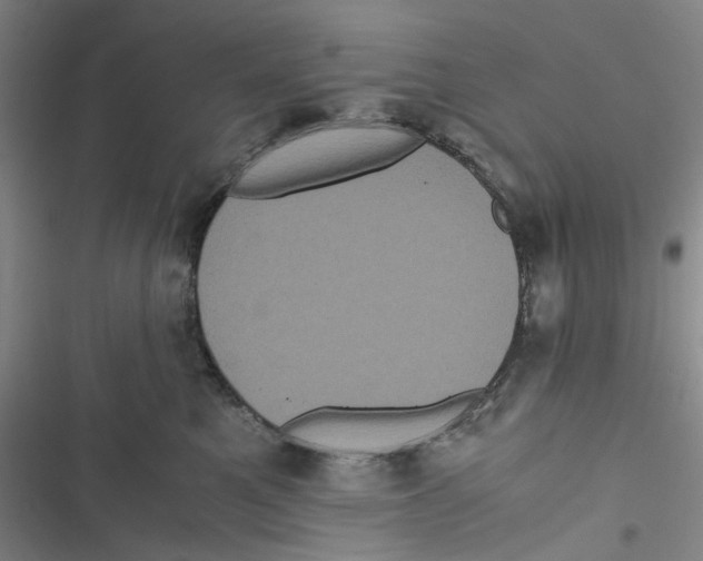 X0000116780521201001141514