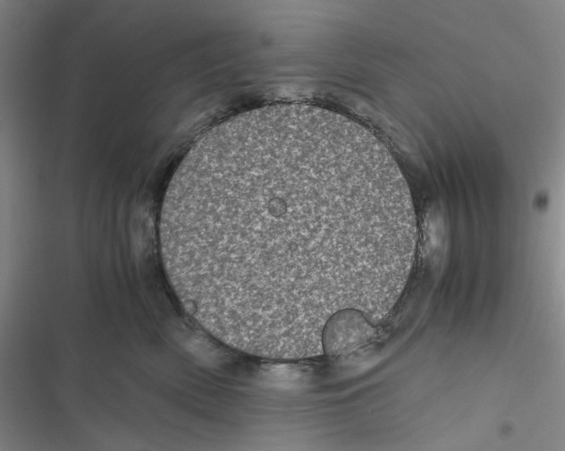 X0000116780522201001141514