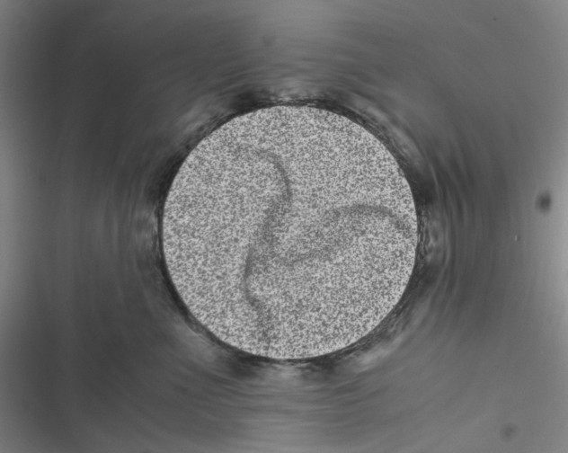 X0000116780523201001141514