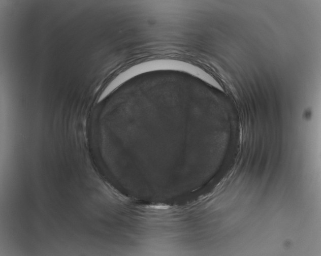 X0000116780524201001141514