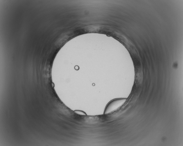 X0000116780525201001141514