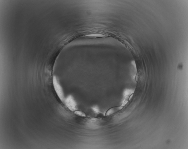 X0000116780527201001141514