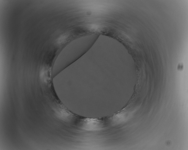 X0000116780528201001141514