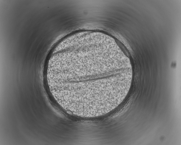 X0000116780530201001141513