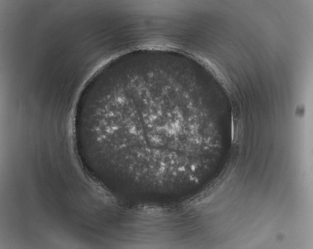 X0000116780531201001141513