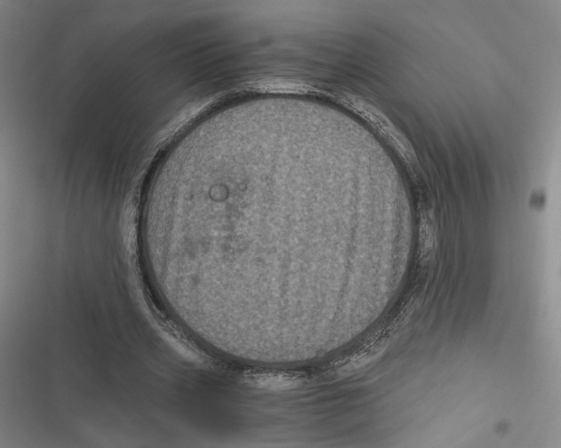 X0000116780533201001141513