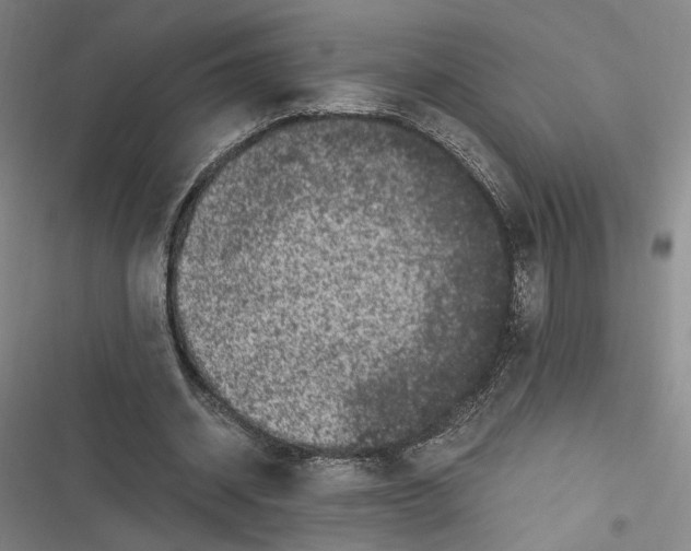 X0000116780534201001141513