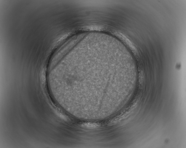 X0000116780537201001141513