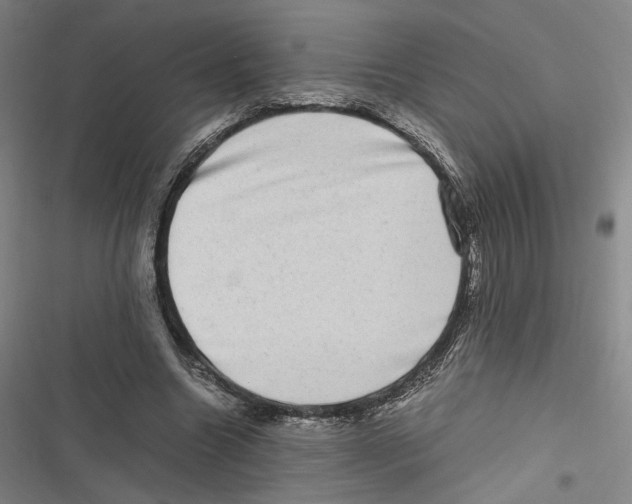 X0000116780538201001141513