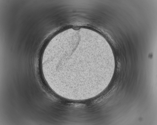 X0000116780539201001141514