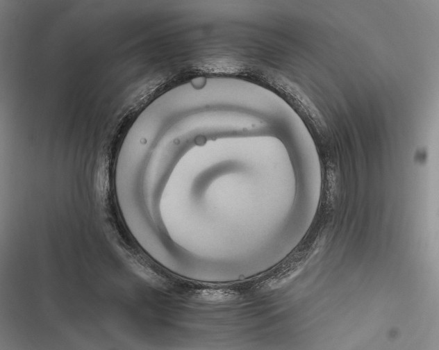 X0000116780541201001141514