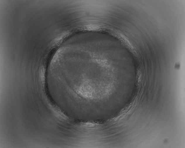 X0000116780542201001141514