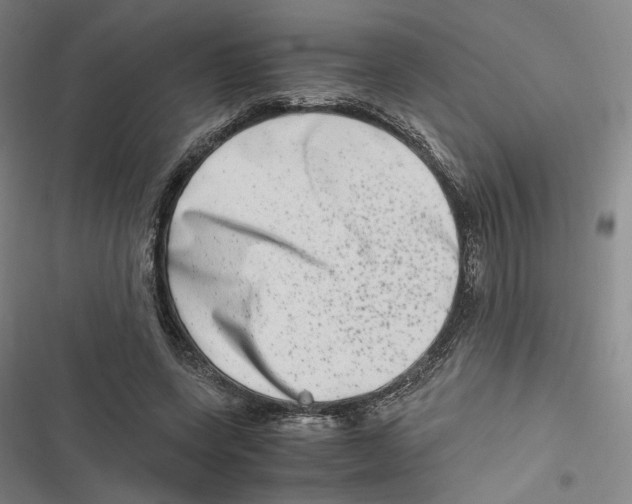 X0000116780543201001141514