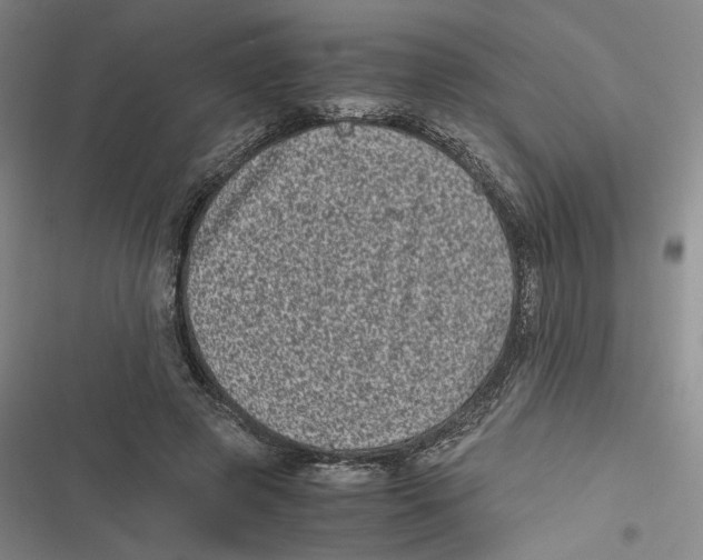 X0000116780545201001141514