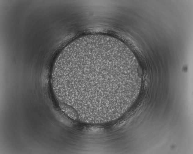 X0000116780546201001141514