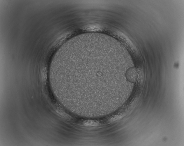 X0000116780549201001141514