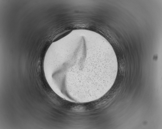 X0000116780551201001141514