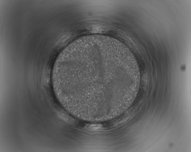 X0000116780554201001141514