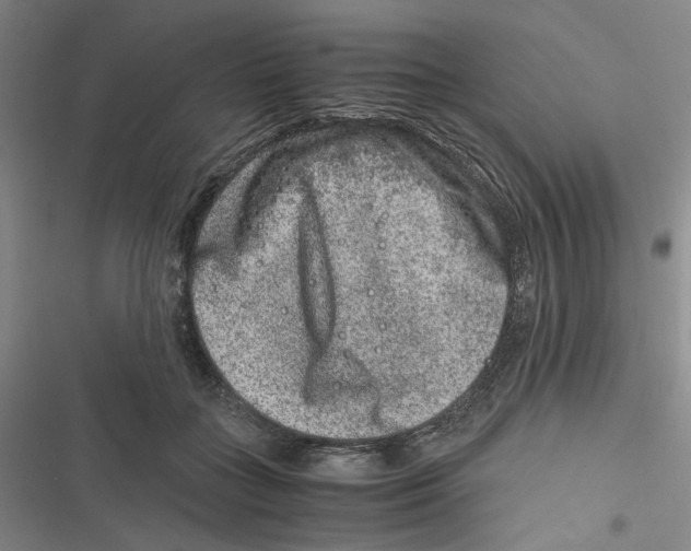 X0000116780555201001141514