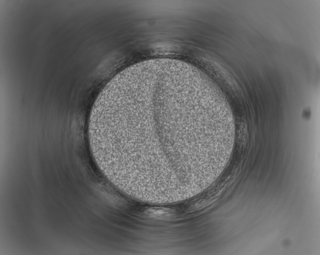 X0000116780557201001141514