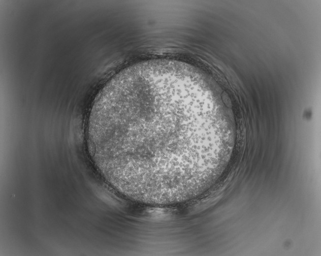 X0000116780558201001141514