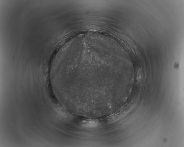 X0000116780559201001141514