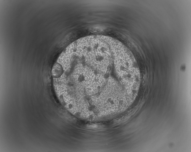X0000116780561201001141514