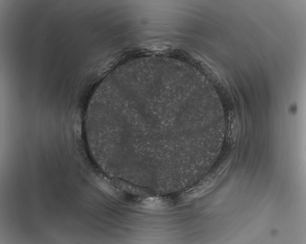 X0000116780562201001141514