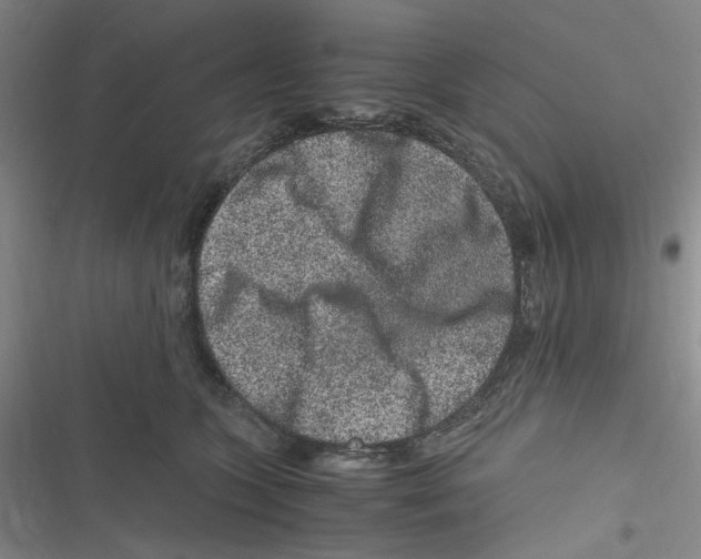 X0000116780563201001141514