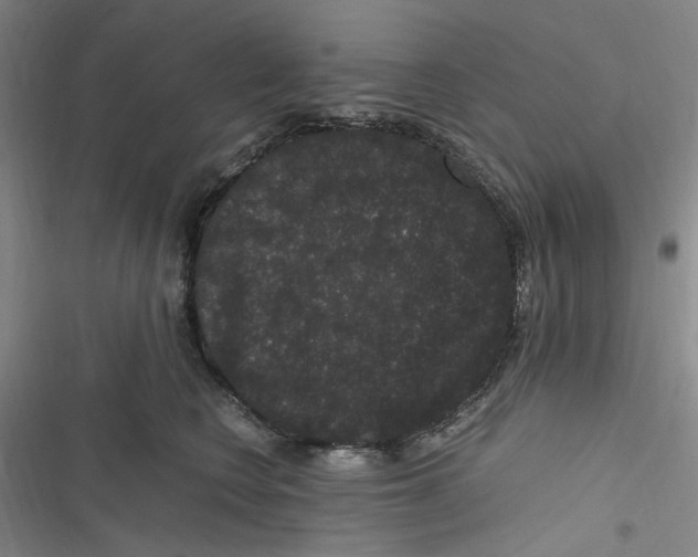 X0000116780566201001141514