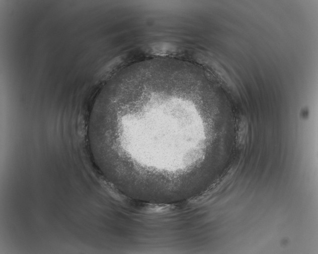 X0000116780569201001141514