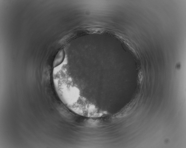 X0000116780570201001141514