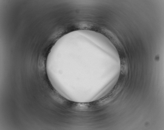 X0000116780573201001141514