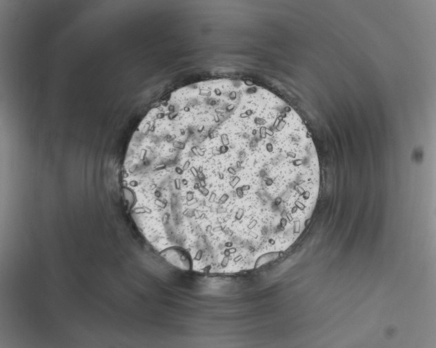 X0000116780575201001141514